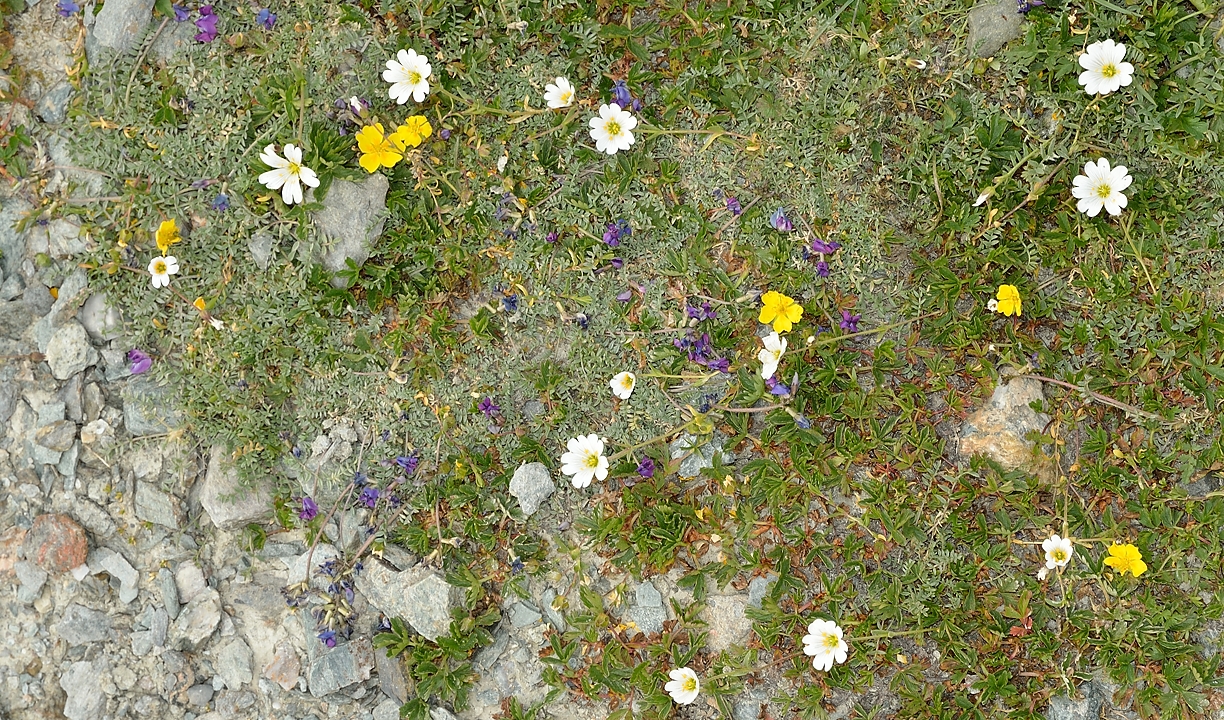 Tadjikistan-J19-2012-08-09-026-KalikalonAlaudin.jpg -  ...