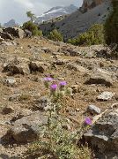 Tadjikistan-J17-2012-08-07-030-ArtouchKalikalon