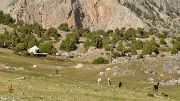 Tadjikistan-J18-2012-08-08-066-Kalikalon