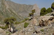 Tadjikistan-J19-2012-08-09-010-KalikalonAlaudin