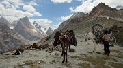 Tadjikistan-J19-2012-08-09-033-KalikalonAlaudin