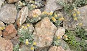 Tadjikistan-J20-2012-08-10-035-Alaudin