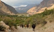 Tadjikistan-j23-12-08-13-016-IskanderkSaritag
