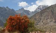 Tadjikistan-j24-12-08-14-019-SaritagTokfon