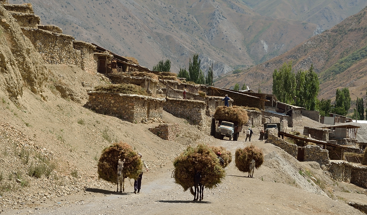 Tadjikistan-j25-12-08-15-034-Tokfon-ss-Anzob.jpg - ...