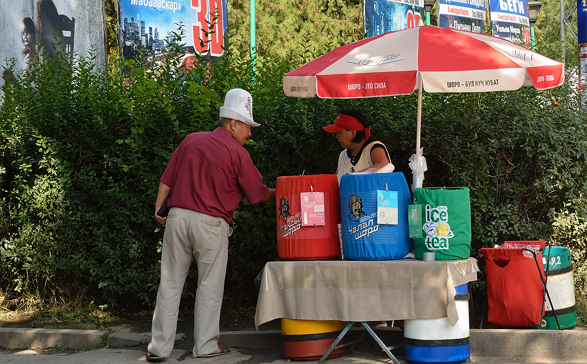 20130726-018-Bichkek.jpg - Everything well organised and hygienically packed