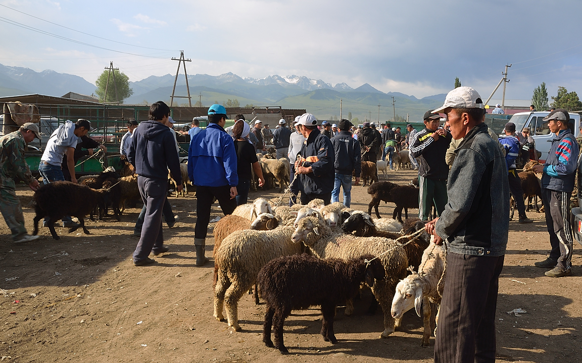 20130728-005-Karakol.jpg