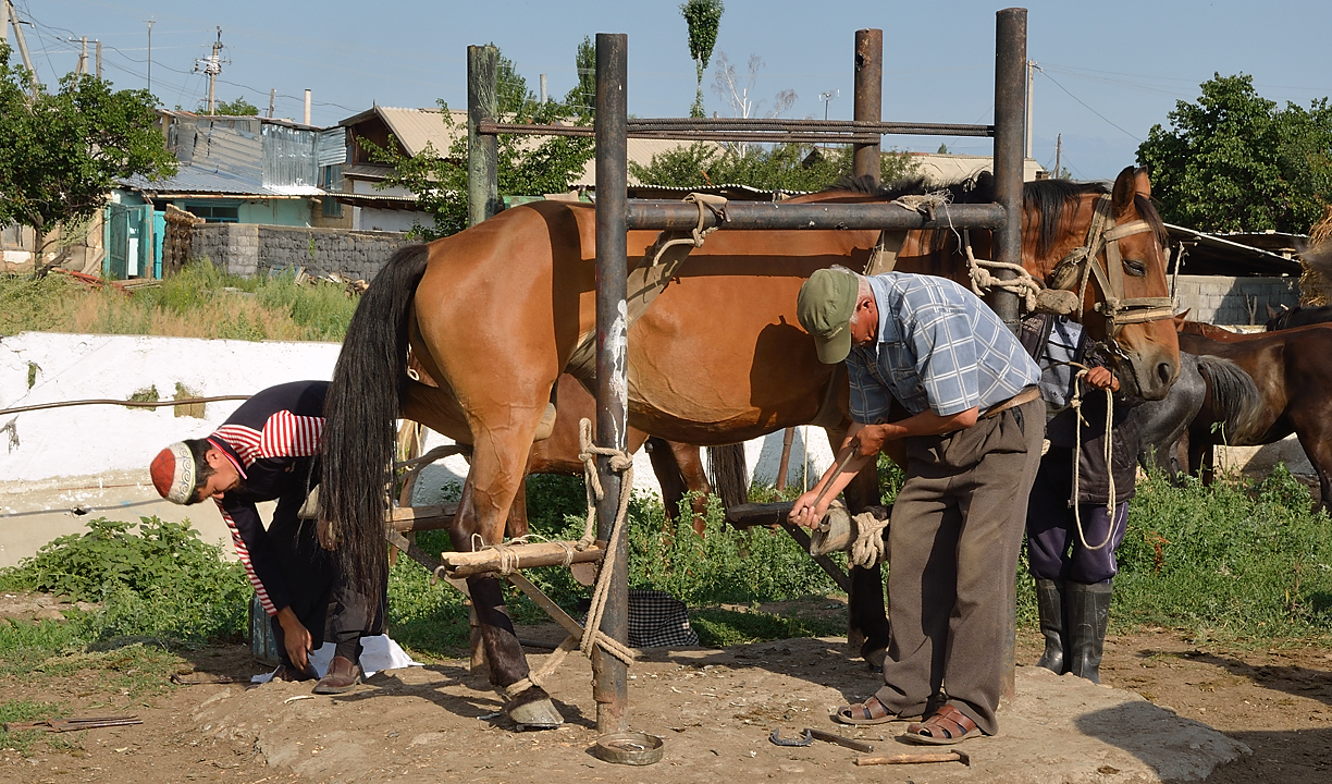 20130728-015-Karakol.jpg - Hoarse mechanic