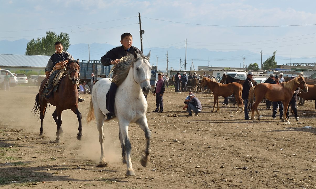 20130728-022-Karakol.jpg -  ... with or without a saddle