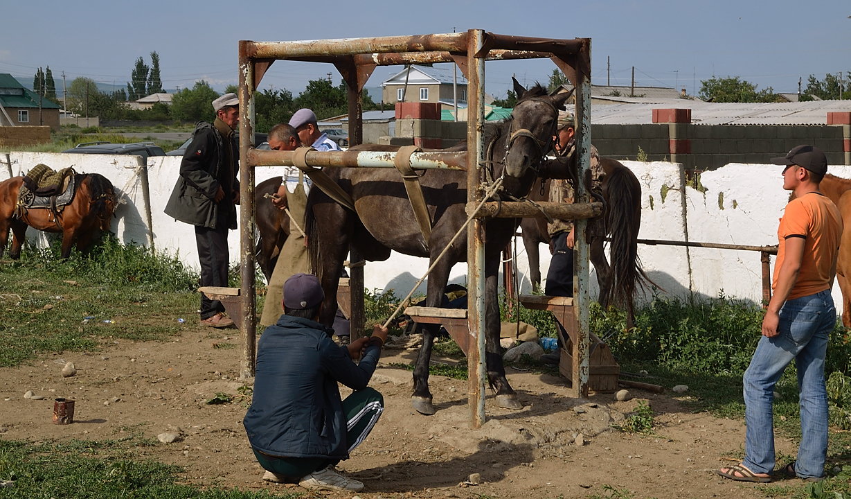 20130728-026-Karakol.jpg - Hoarse mechanic