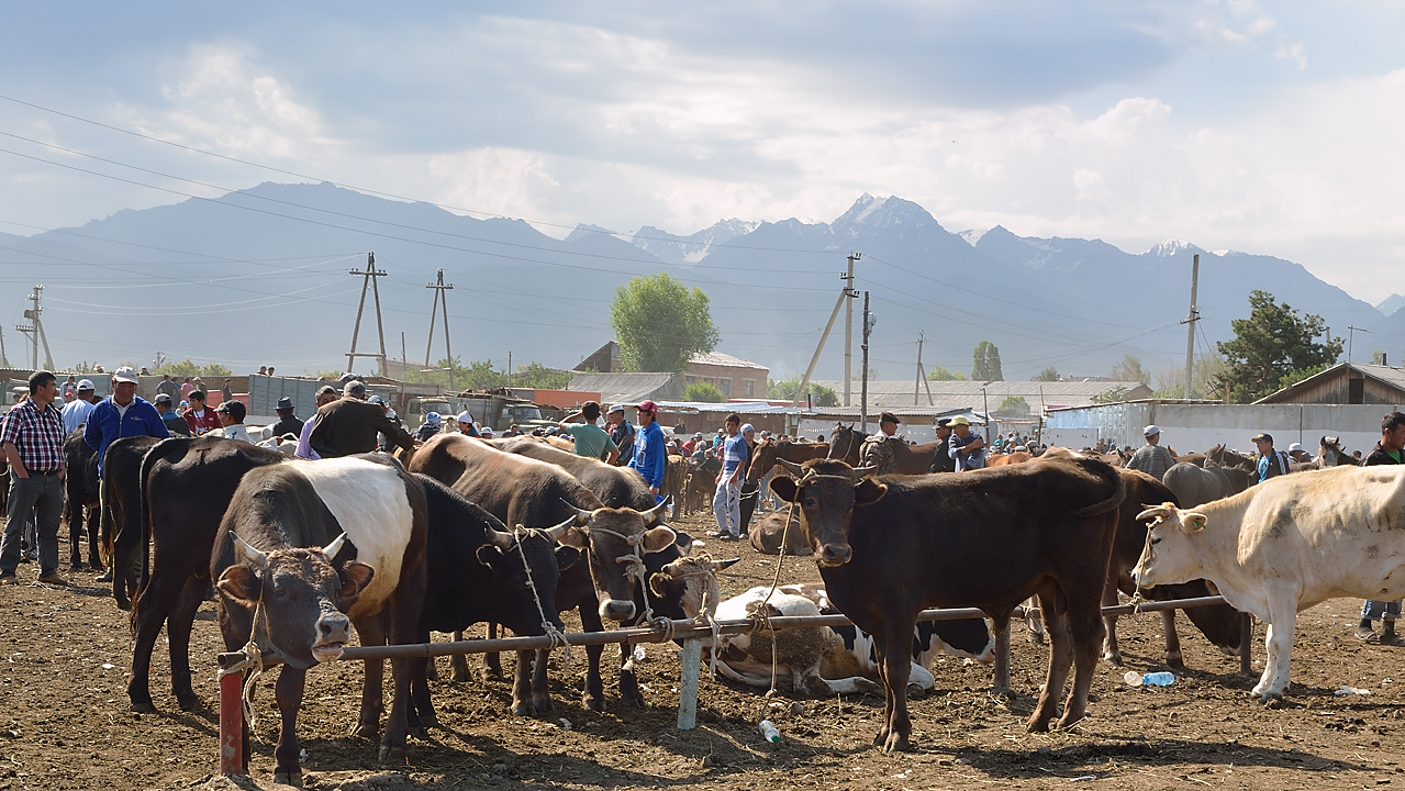 20130728-034-Karakol.jpg
