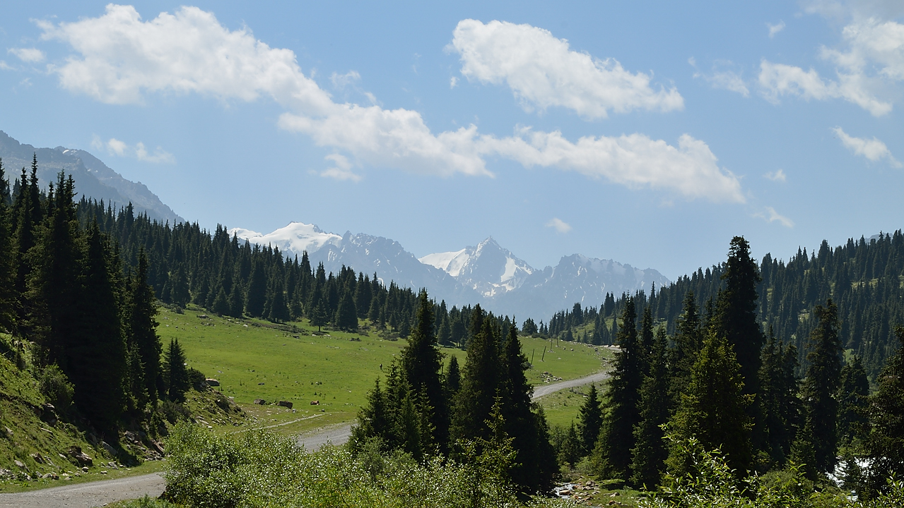 20130729-020-Karakol-MaydAdyr.jpg - After a morning in a quite narrow valley full of the typical fir trees ...