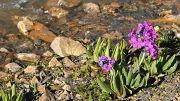 20130730-055-Karakol-MaydAdyr