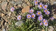 20130731-069-Karakol-MaydAdyr