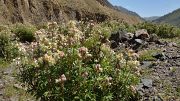 20130731-081-Karakol-MaydAdyr