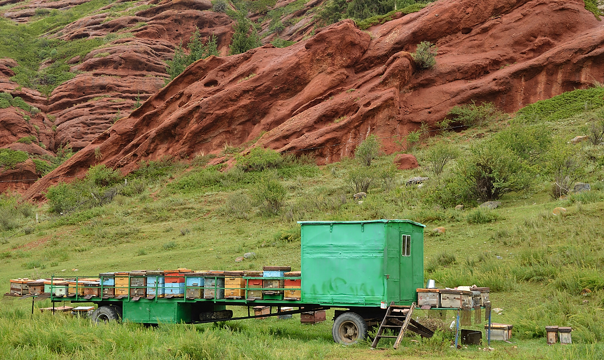 20130813-035IssykKul.jpg - The beekeeper who sheltered us during the heavy rain