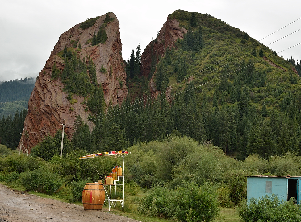 20130813-045IssykKul.jpg - Another beekeeper
