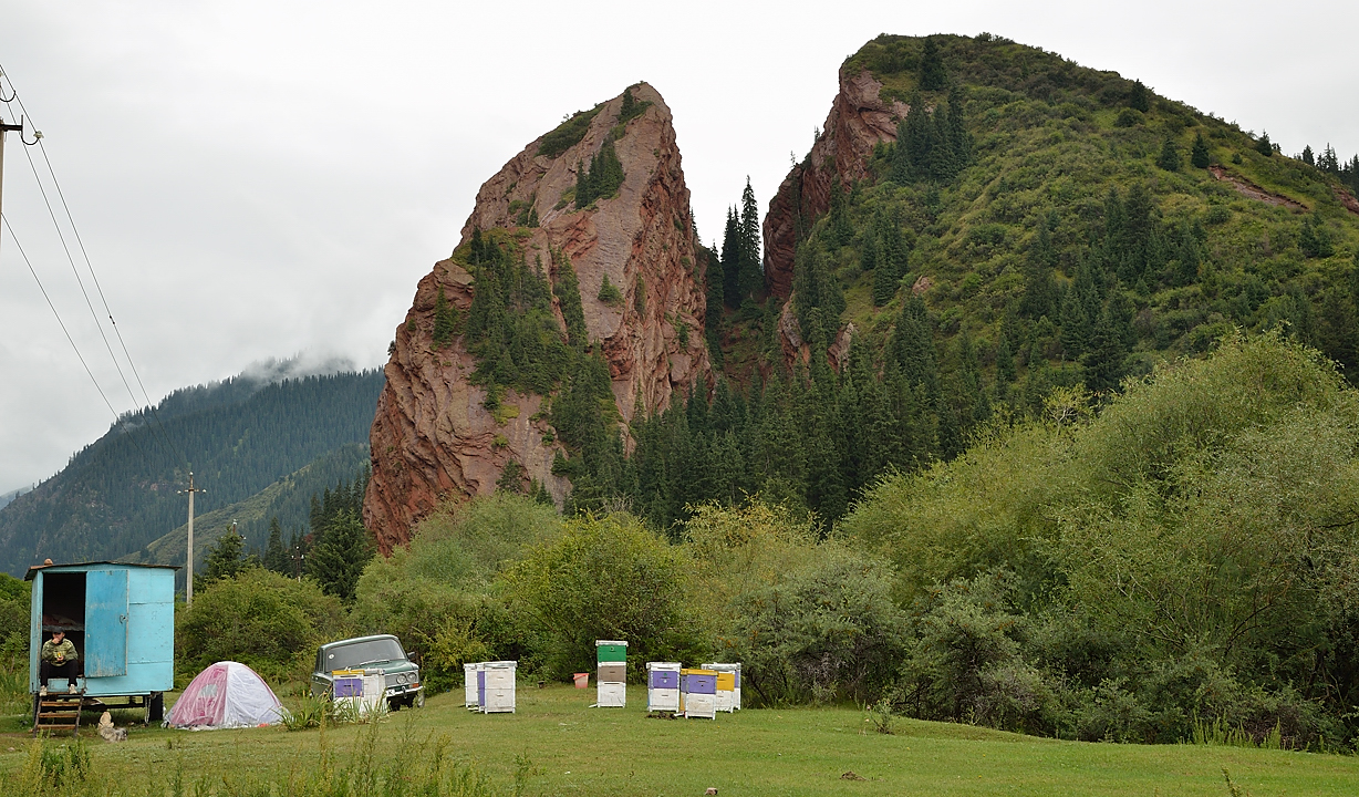 20130813-046IssykKul.jpg - Another beekeeper
