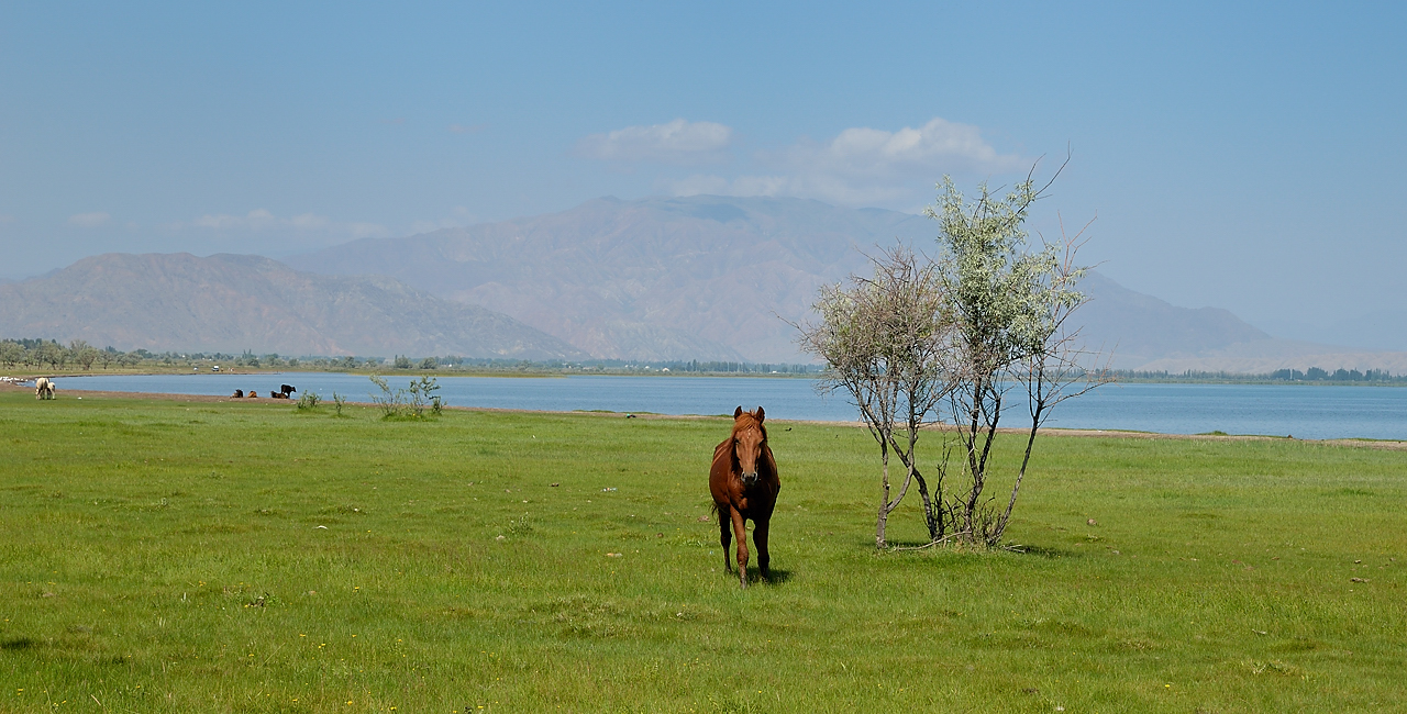 20130816-184IssykKul.jpg - At the beach close to Ottuk, just before leaving the lake