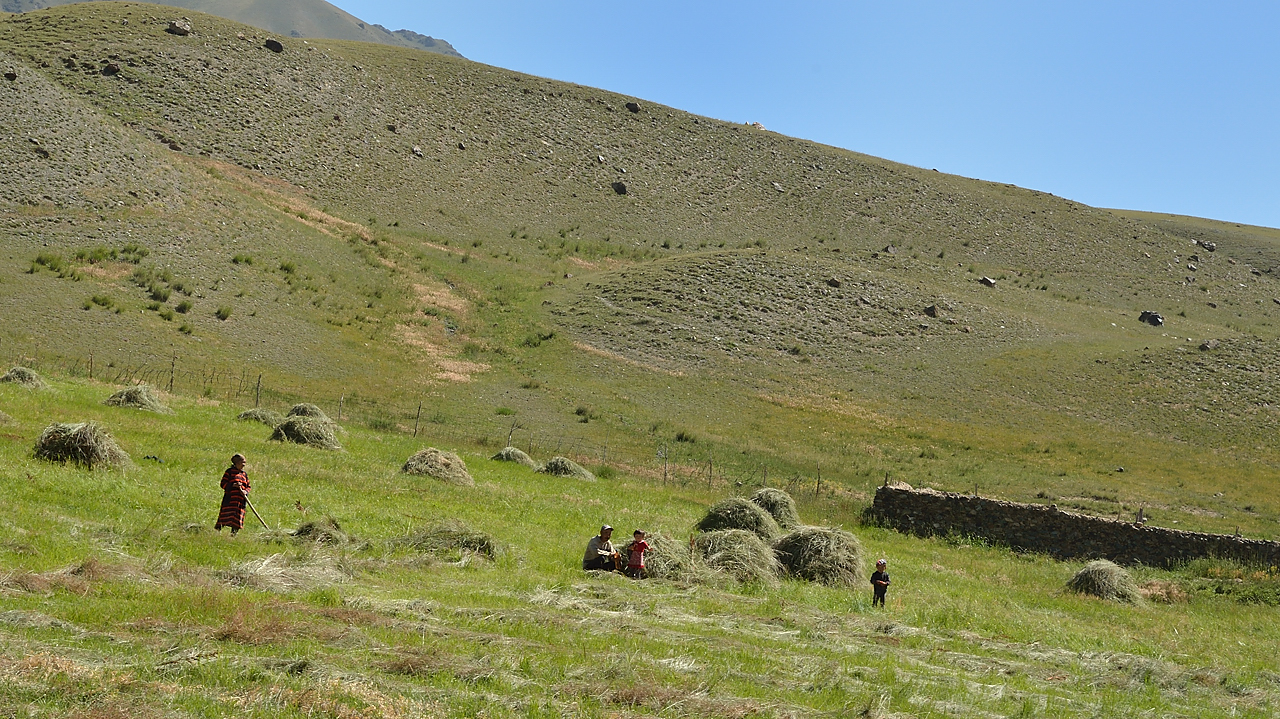 20130818-075-Song-Kul.jpg - Driving along the Tolok river and its handful of isolated farms: making hay
