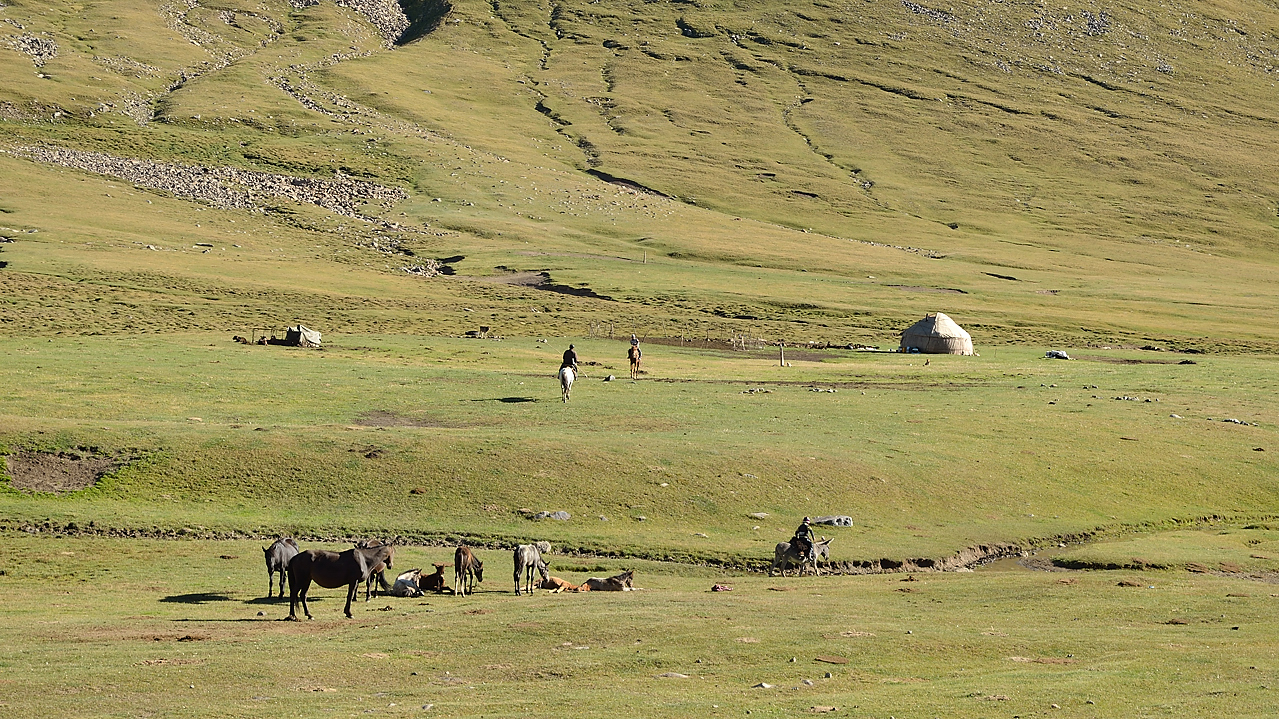 20130818-098-Song-Kul.jpg - pleasant ride down to the lake through the pastures scattered by yurts and cattle ... mainly hoarses, sypplying khimiz