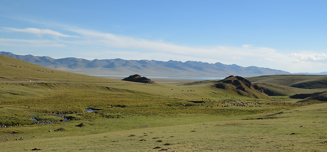 20130818-105-Song-Kul.jpg - pleasant ride down to the lake through the pastures scattered by yourts and cattle ... mainly hoarses, sypplying khimiz