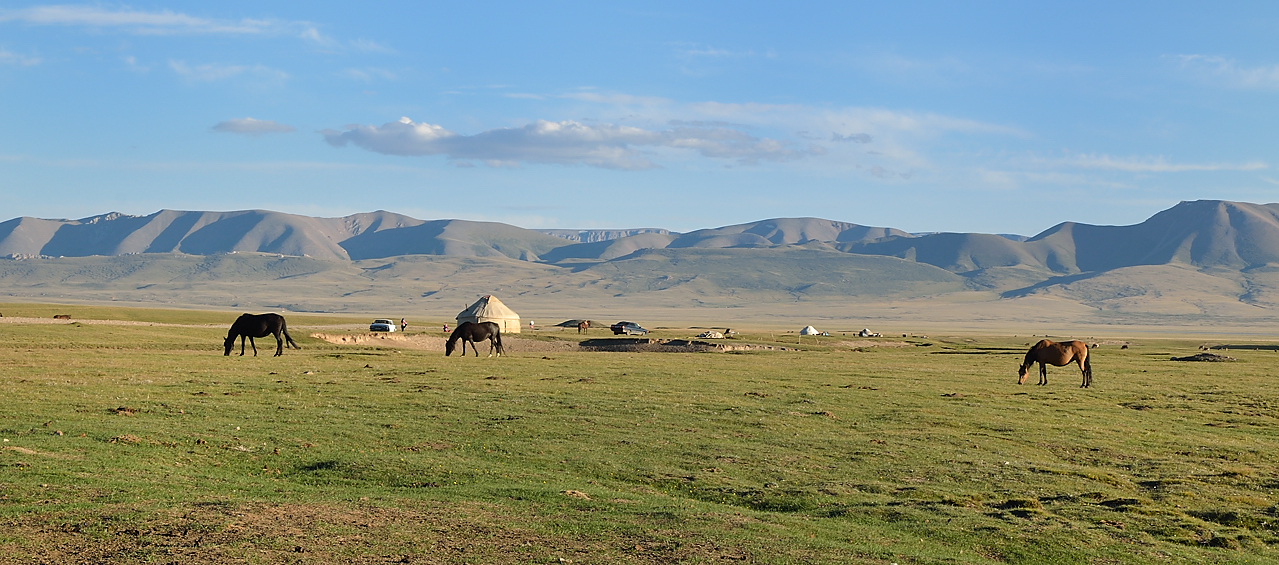 20130818-110-Song-Kul.jpg - pleasant ride down to the lake through the pastures scattered by yurts and cattle ... mainly hoarses, sypplying khimiz