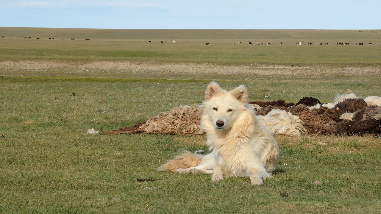 20130819-125-Song-Kul.jpg