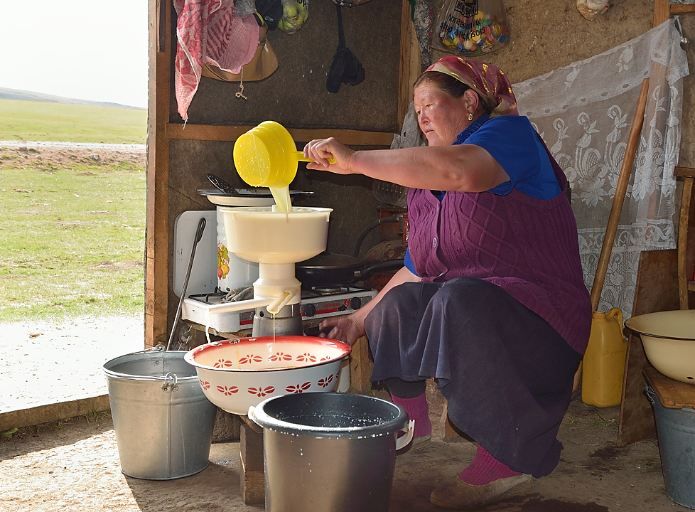 20130819-132-Song-Kul.jpg - Our hostess making cream from the milk collected in the morning