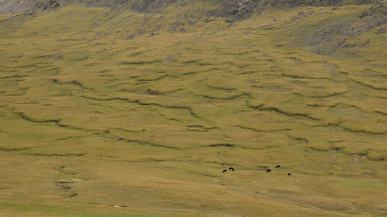 20130819-144-Song-Kul.jpg - On the way back to the pass
