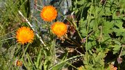 20130730-043-Karakol-MaydAdyr