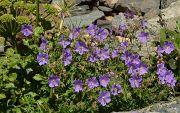 20130730-044-Karakol-MaydAdyr
