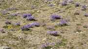 20130730-053-Karakol-MaydAdyr