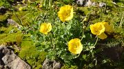 20130730-057-Karakol-MaydAdyr
