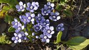 20130730-059-Karakol-MaydAdyr